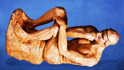 گاوهایی که گورخر شدند، یک ابتکار ژاپنی