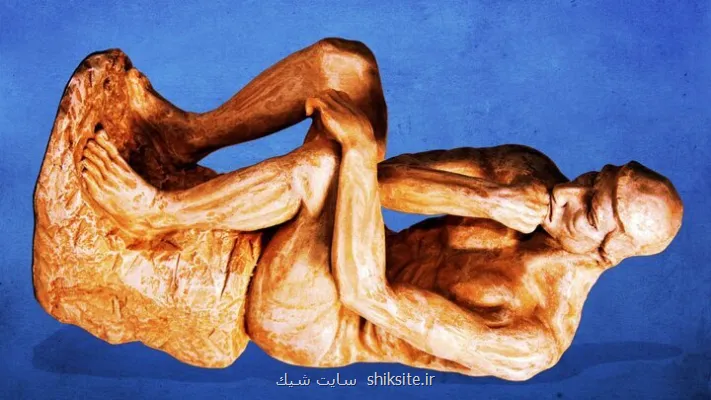 گاوهایی که گورخر شدند، یک ابتکار ژاپنی